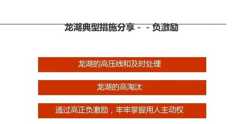 龍湖企業管理與運營精細化管理及品牌管理策略探析